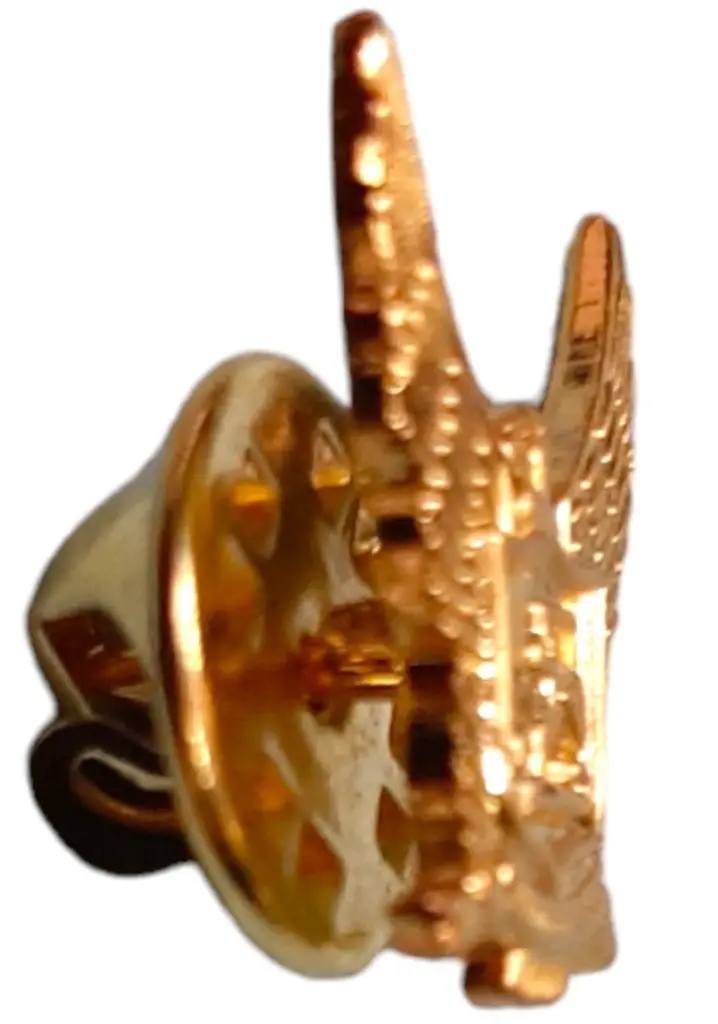 Insignias metálica policial (1).webp