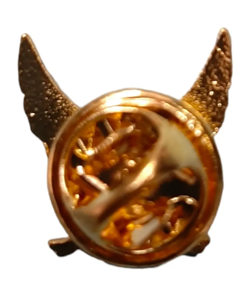 Insignias metálica policial.webp
